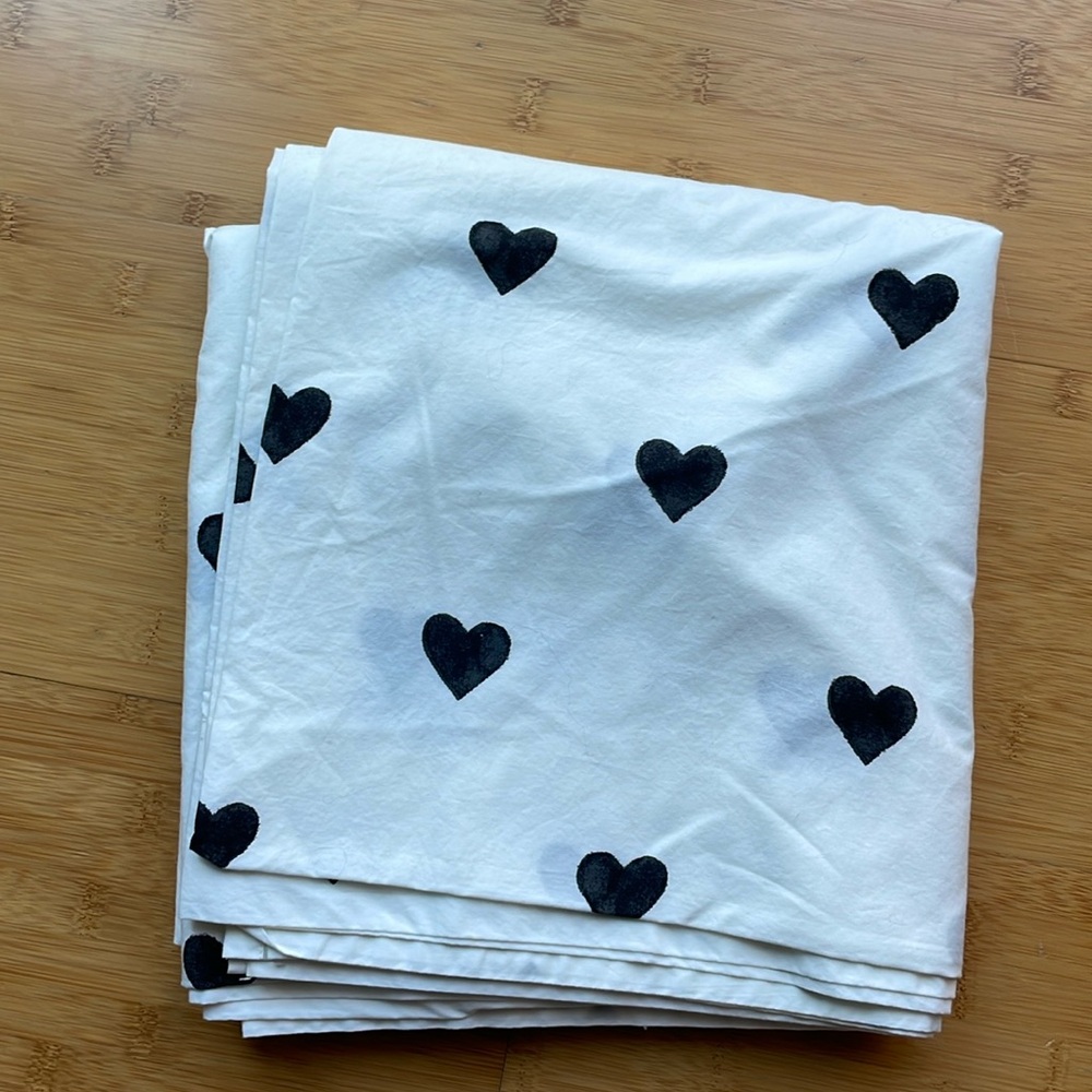 Pottery Barn Teen Emily & Meritt flat sheet